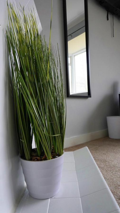 Portobello House - Four Bedroom House Perfect For Contractors - Sleeps 6 - Free Parking Wolverhampton Luaran gambar